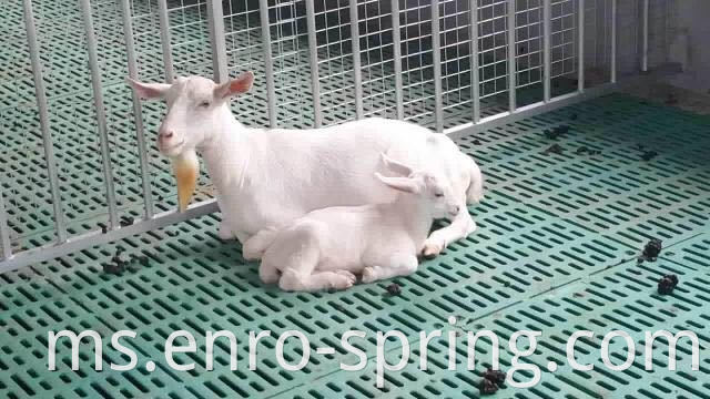 Plastic Slatted Floor for Piglets